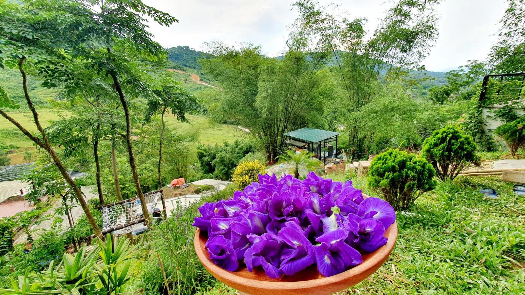 Doc Chill - Gan Ba Vi, View Nui, Gan Ho, 40ph Di Tu Trung Tam Ha Noi Villa *